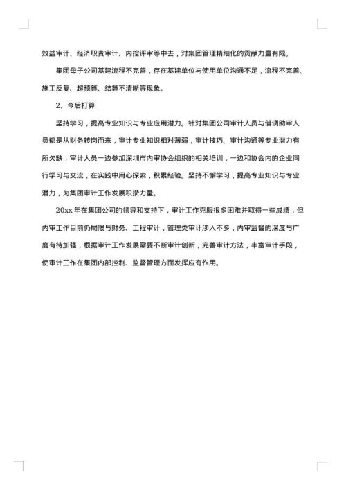 财务审计个人工作总结报告
