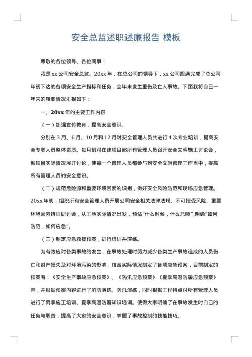 安全总监述职述廉报告
