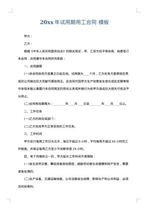 2025年试用期用工合同