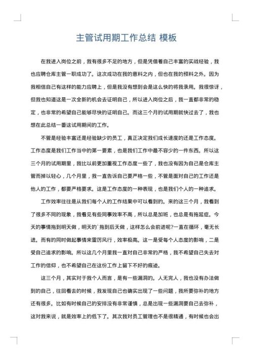 主管试用期工作总结