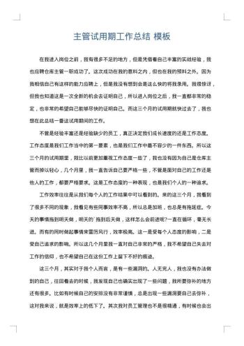 主管试用期工作总结
