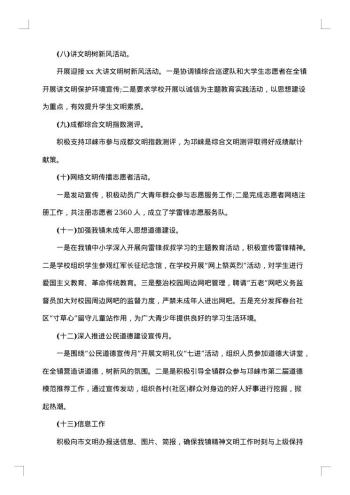 精神文明自查报告