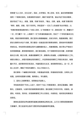 评估自查报告