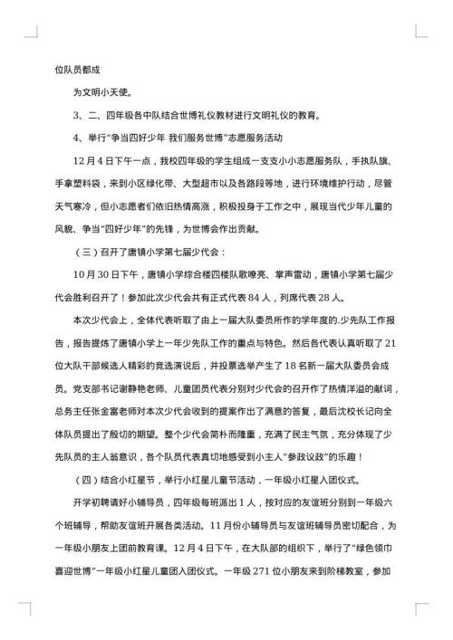 2025年少先队工作总结