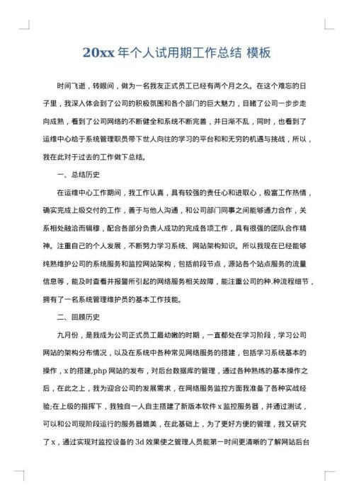 2025年个人试用期工作总结