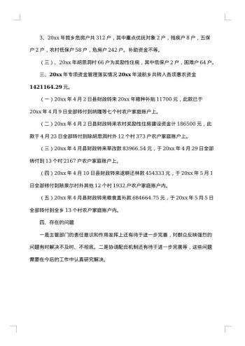 惠农资金自查报告