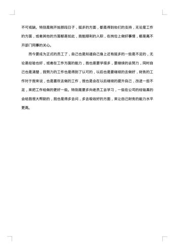 财务个人的工作总结