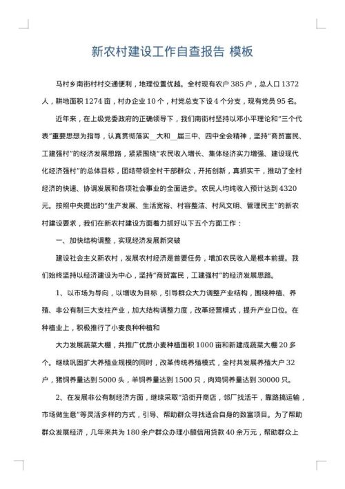 新农村建设工作自查报告