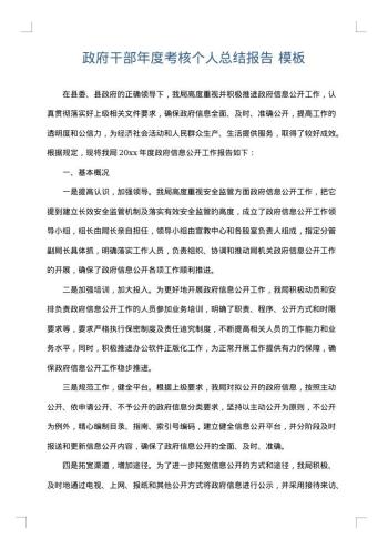 政府干部年度考核个人总结报告