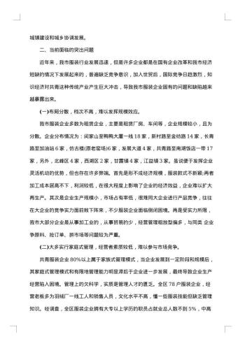 服装的市场调查报告