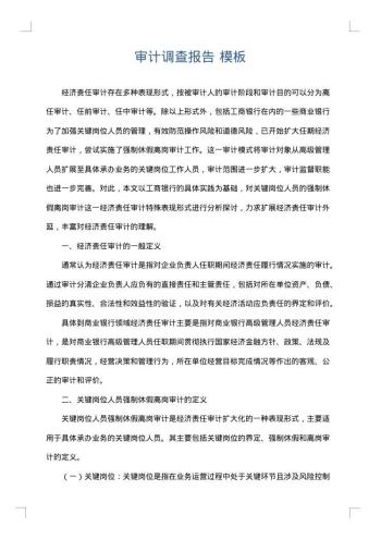 审计调查报告