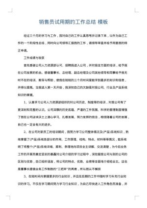 销售员试用期的工作总结
