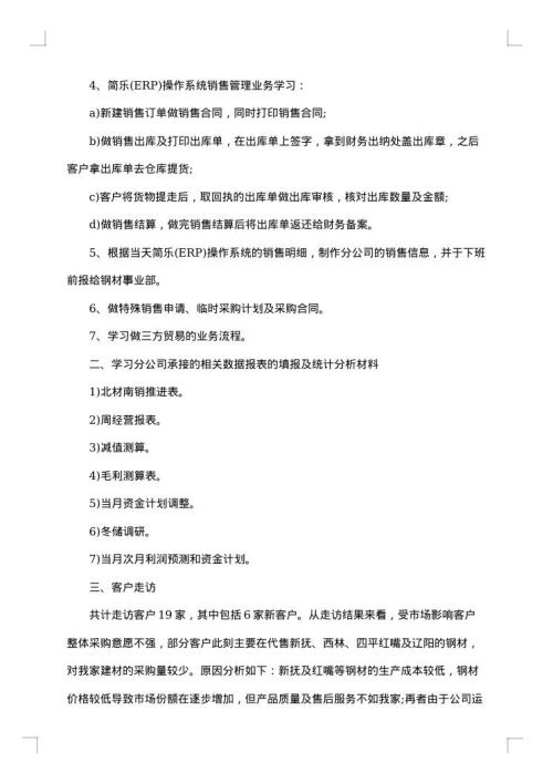 2025年试用期转正工作总结