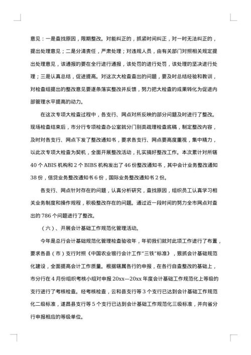 2025年会计年度工作总结范文