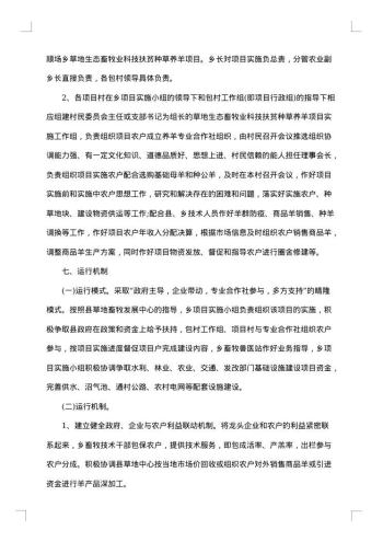 项目实施工作方案