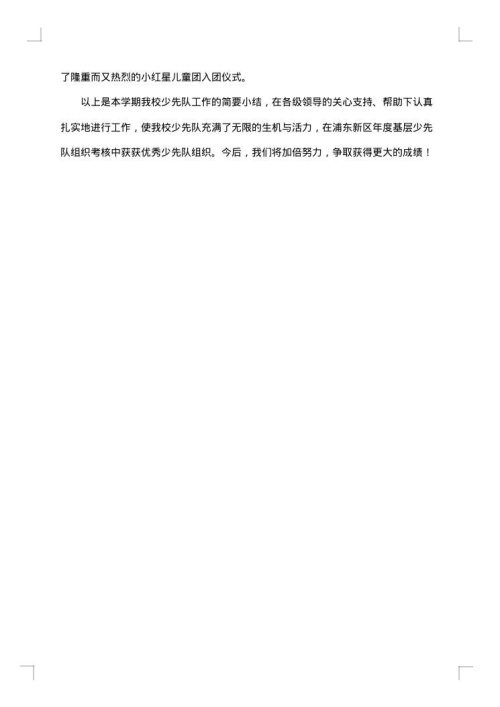 2025年少先队工作总结