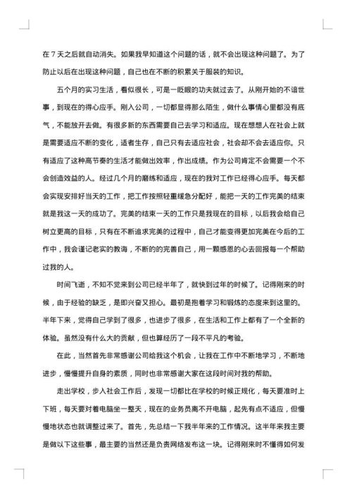 业务员工作总结范文