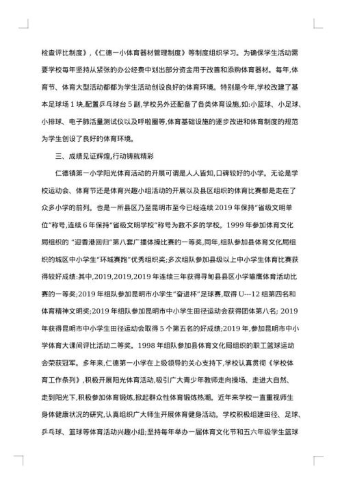 体育自查报告