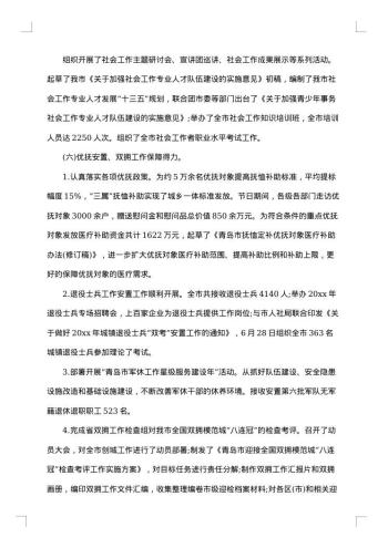 乡镇民政工作总结