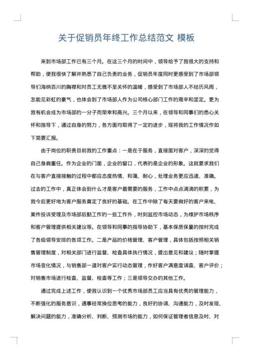 关于促销员年终工作总结范文