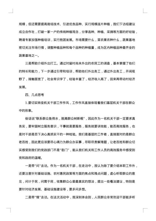 2025年党员干部春节回乡调研报告范文