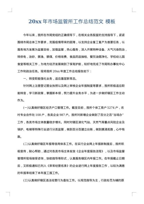2025年市场监管所工作总结范文
