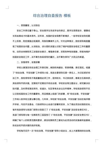 综合治理自查报告