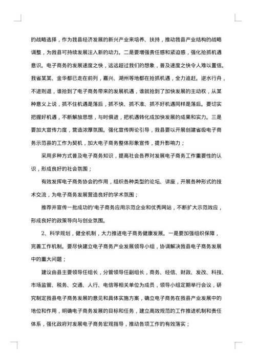 商务调研报告