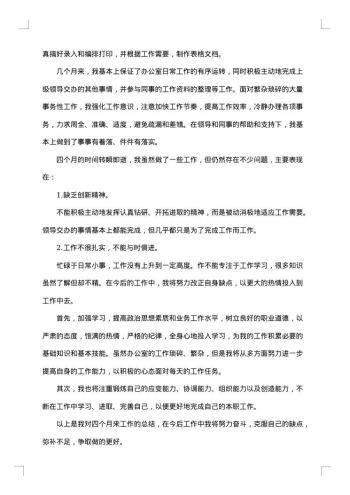 公司试用期个人总结报告