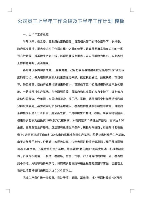 公司员工上半年工作总结及下半年工作计划