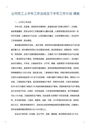 公司员工上半年工作总结及下半年工作计划