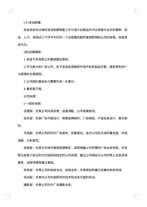 2025年项目计划书