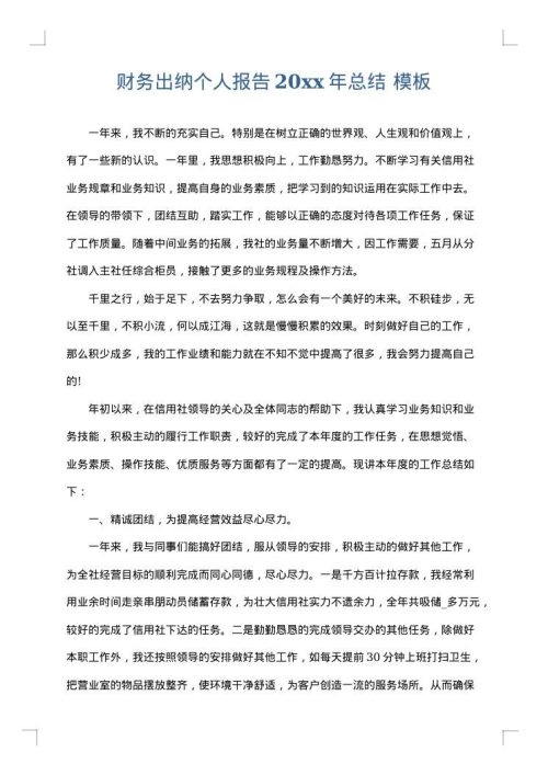 财务出纳个人报告2025年总结