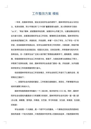 工作整改方案