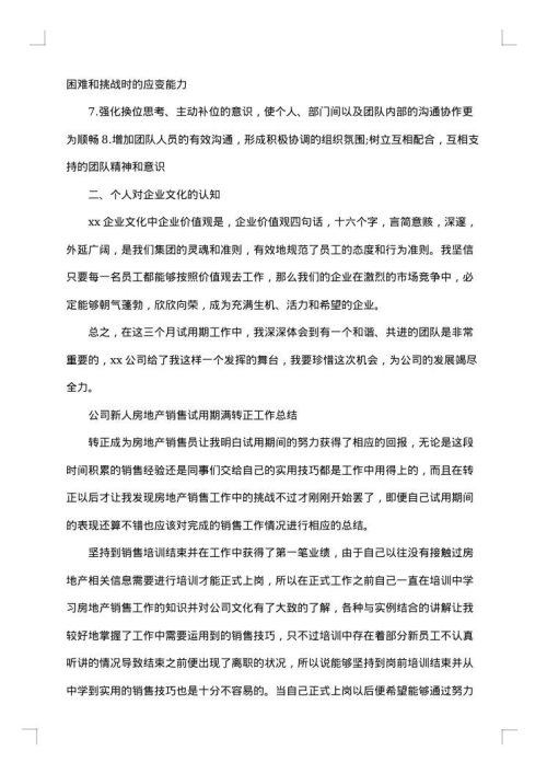 2025年销售试用期转正工作总结