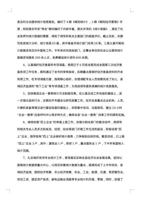 统计局自查报告