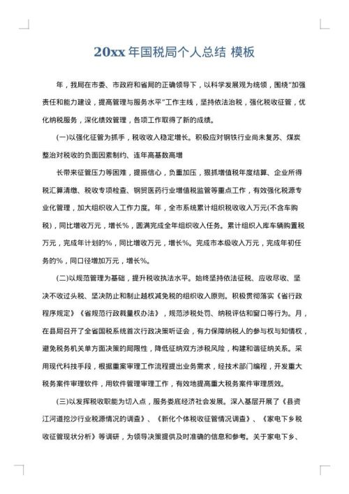 2025年国税局个人总结