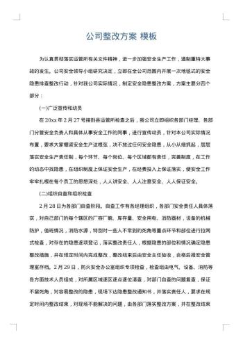 公司整改方案