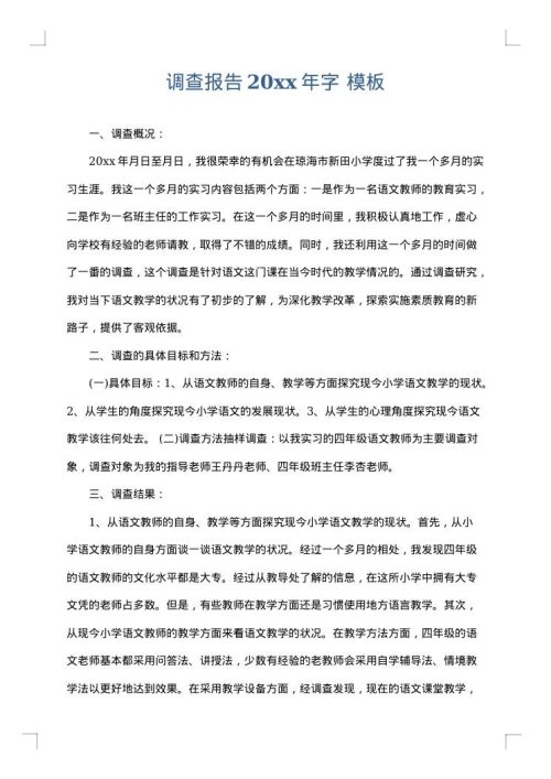 调查报告2025年字