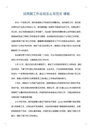试用期工作总结怎么写范文