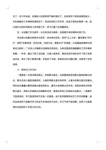 支部年度工作报告