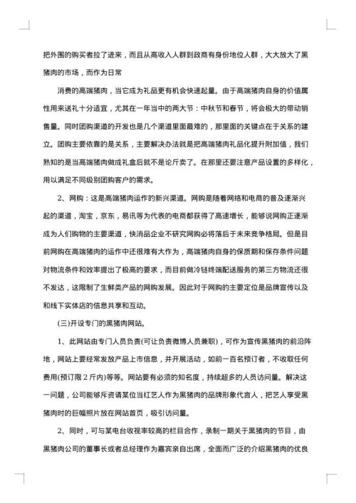 网络营销策划