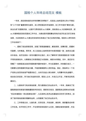 国税个人年终总结范文