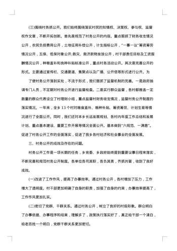 村务工作总结