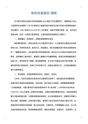 保险自查报告