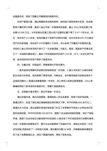 财务总监年度工作总结范文