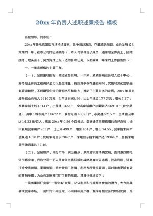 2025年负责人述职述廉报告