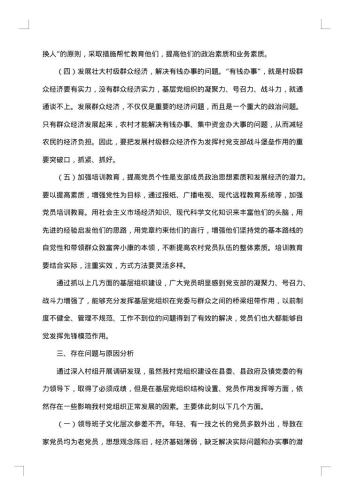 大学生农村社会调查报告