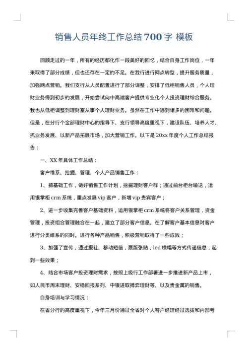 销售人员年终工作总结700字