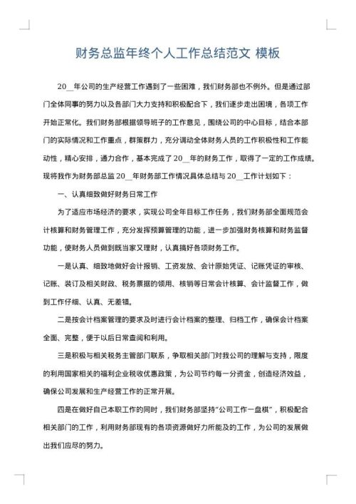 财务总监年终个人工作总结范文
